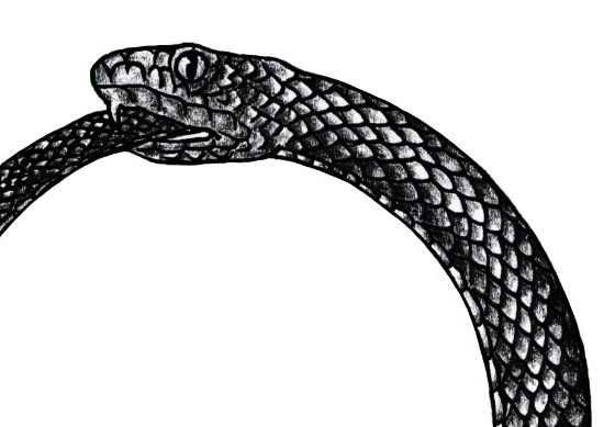 Hand-drawn logo by Wilma